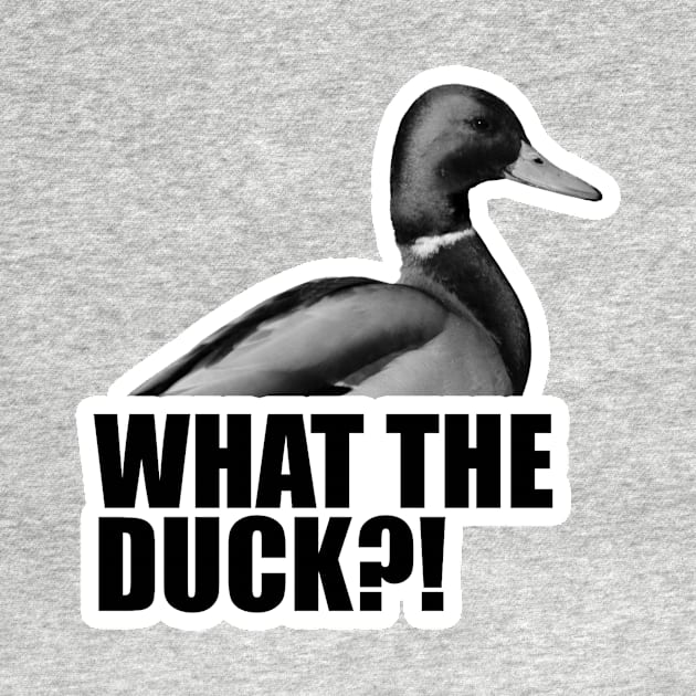 What The Duck?! by timbo